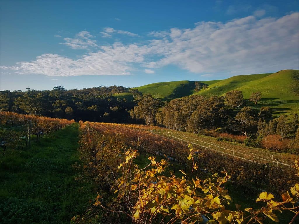 Moorabool Ridge
